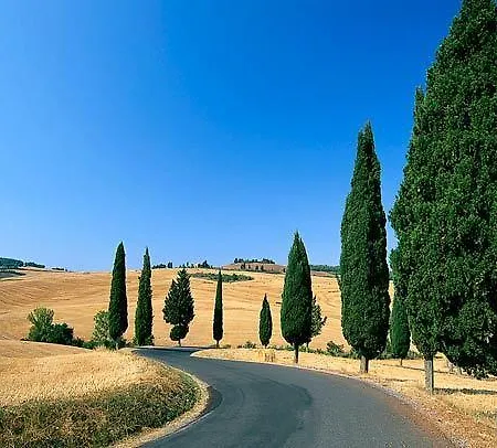 酒店 蒙塔利欧所别墅酒店 3*